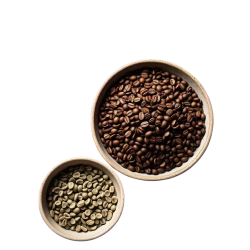 WhatsApp_Image_2025-01-08_at_1.10.08_PM__1_-removebg-preview